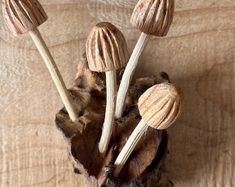 Wall Mushroom Carvings Small – Hand Carved Wooden Toadstool Wall Hanging Decor