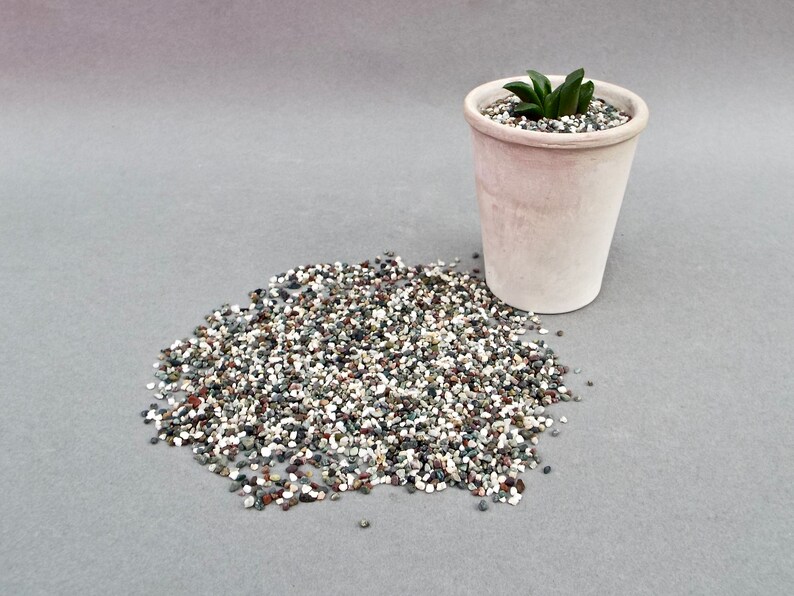 Plant Pot Topping Succulents Top Dressing Gravel Natural Etsy UK