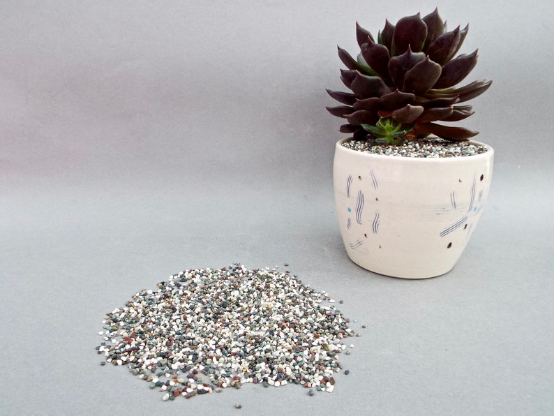 Plant Pot Topping Succulents Top Dressing Gravel Natural Etsy UK
