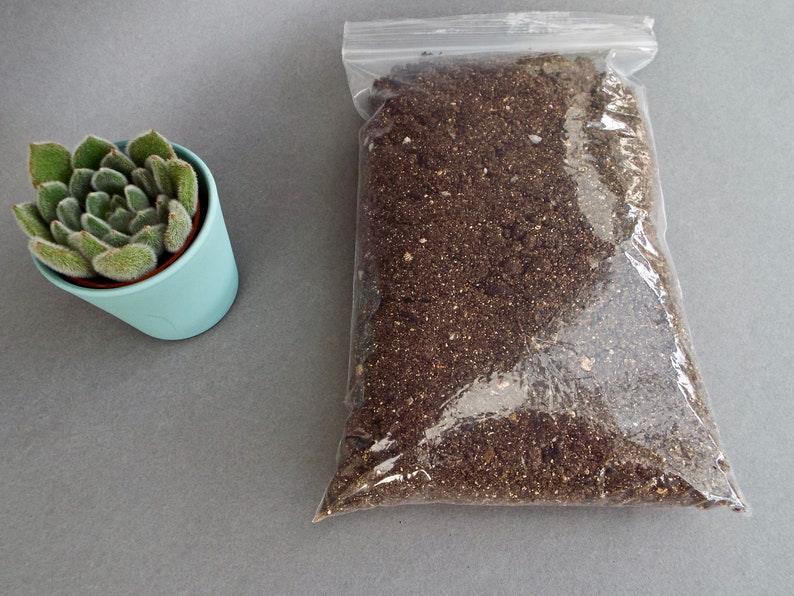Succulent Soil Mix Cactus Soil Soil for Succulents Soil for Etsy UK