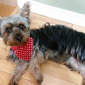 Reversible Red Polka Dots/Navy and White Gingham  Pet Collar Bandana, Dog Bandana, Cat Bandana