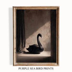 May include: A framed print featuring a black swan in a window. The swan is the focal point, set against a neutral background with a dark curtain. The frame is a light brown color. The text "PURPLE SEA BIRD PRINTS" is at the bottom.