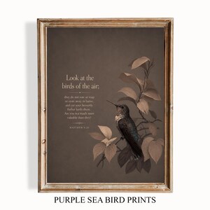 May include: A framed wall art print featuring a hummingbird perched on a leafy branch against a dark brown background. The text reads: Look at the birds of the air; they do not sow or reap or store away in barns, and yet your heavenly Father feeds them. Are you not much more valuable than they? MATTHEW 6:26.
