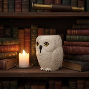Puede incluir: Una taza de cerámica blanca con forma de búho, con ojos amarillos y pico negro, está sobre una estantería de madera. Una vela encendida en un portavelas de cristal está junto a la taza. El fondo presenta una colección de libros antiguos.