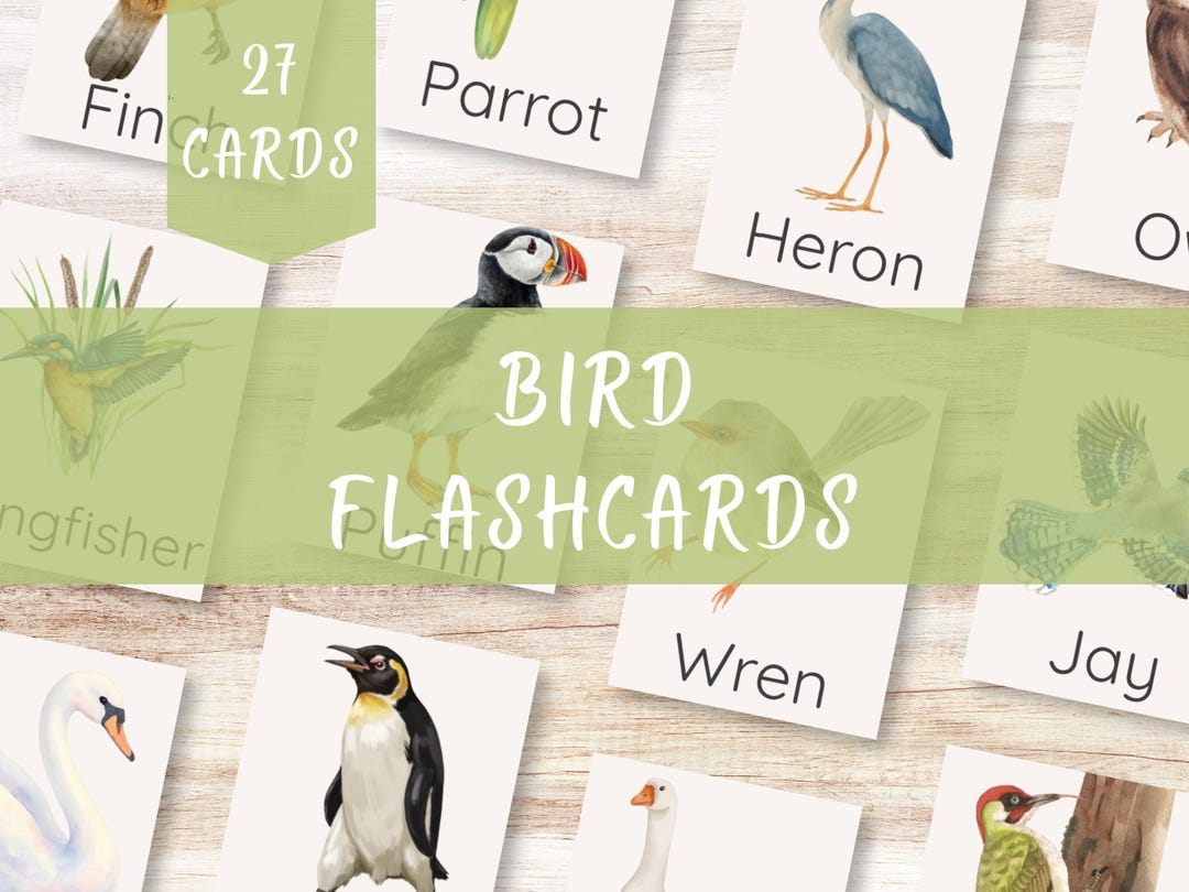 Montessori Toddler Bird Flashcards, Printable Nature Learning Cards ...