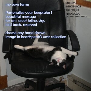 my own terms....personalize/ reserved cat/shy/aloof/ choose an image/storybook/sentimental /unique empathy condolence card pet poem