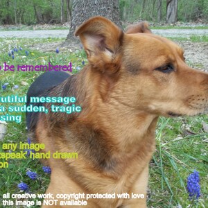 tragic sudden death.. to be remembered ( a spirit&#39;s song ) choose an image/personalize/sentimental/ unique condolence empathy/pet sympathy