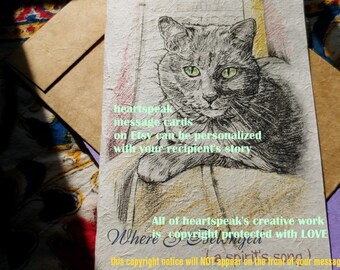where I belonged..... personalize /gray cat/storybook/sentimental/unique empathy condolence/pet sympathy