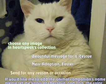 hero, to me/  storybook/sentimental/ personalize / Rescue/fosters/ New Adoption cards/unique empathy condolence/pet cards/chose an image