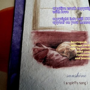 sunshine ( a spirit's song ) orange tabby cat cards/ cat love card/  journey cards/sentimental cards/unique empathy condolence cards