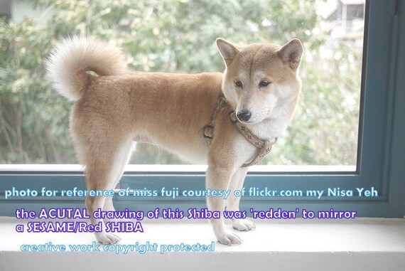 Unique Personalitypersonalize Shiba Inu Love My Shiba Inustorybooksentimental Unique Empathy Condolencepet Sympathypet Cards