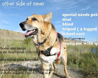 tripod /deaf/  blind/ special neeeds /other side of never /storybook/personalize/sentimental /unique empathy condolence /pet sympathycards/