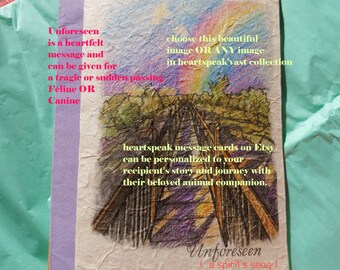 Unforeseen ...../Tragic Death/ Sudden Passing/Feline OR Canine / storybook/choose any image/rainbow bridge/ empathy condolence pet poem