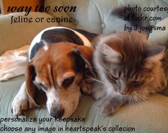 tragic sudden death...way too soon ( a spirit's song )/personalize/rainbow bridge /canine or feline /sentimental /unique condolence