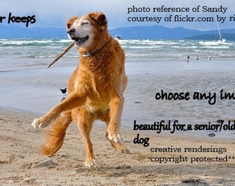 old/senior dog....for keeps / storybook/ personalize /choose an image/ sentimental /unique empathy condolence /pet sympathy pet poem