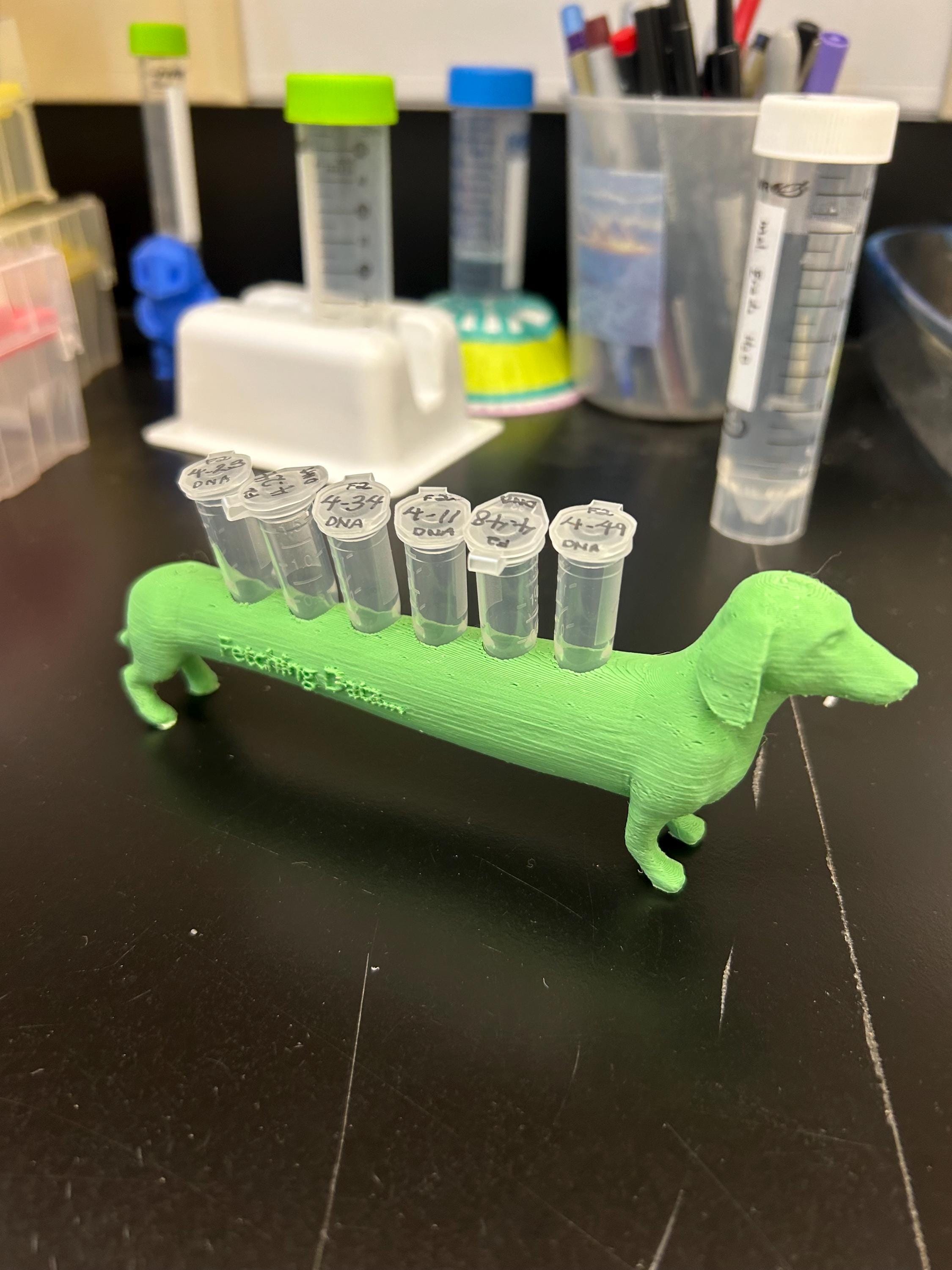 Dog Test Tube Holder Bundle | Cute Dachshund Lab Décor | Custom 3D