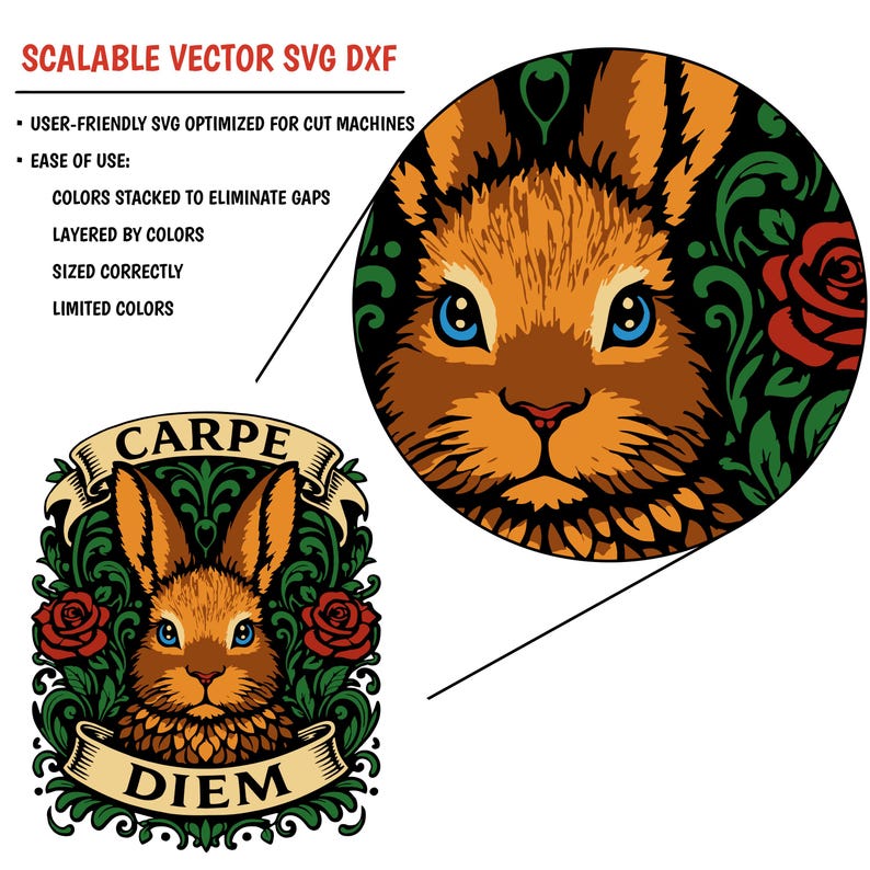 Carpe Diem Rabbit SVG_Cricut Cut File | Inspirational Vintage Bunny Art | Limited Color DXF High Res Transparent PNG JPEG Digital Download image 7