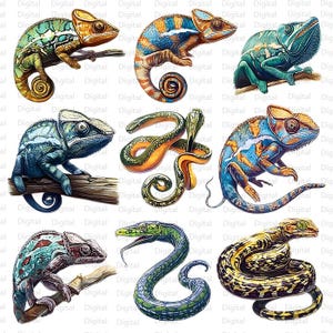 Reptiles Watercolor Clipart Bundle: Exotic Animals Graphics (PNG Digital Download)