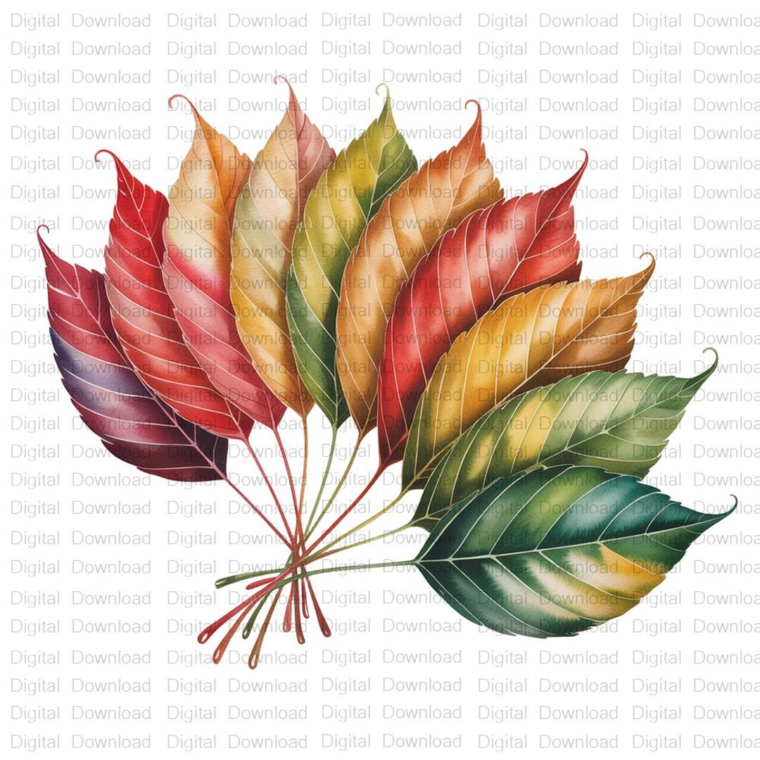 Autumn Leaves Watercolor Clipart Bundle: Fall Rainbow PNG Graphics ...
