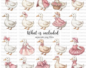 Watercolor Girly Goose Clipart, Pink Silly Goose PNG, Coquette Nursery ...