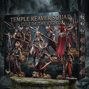 Drow Warrior Miniatuur Squad - Duistere Elf Strijders Eenheid voor DnD en Pathfinder van Clay Beast - Temple Reavers