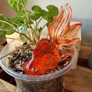 May include: A translucent orange glass goldfish figurine with a textured body and flowing tail fins, positioned inside a clear plastic pot filled with soil and a small green plant with variegated leaves, creating a decorative display.