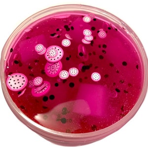 DRAGON Fruit JELLY CUBE Slime image 4