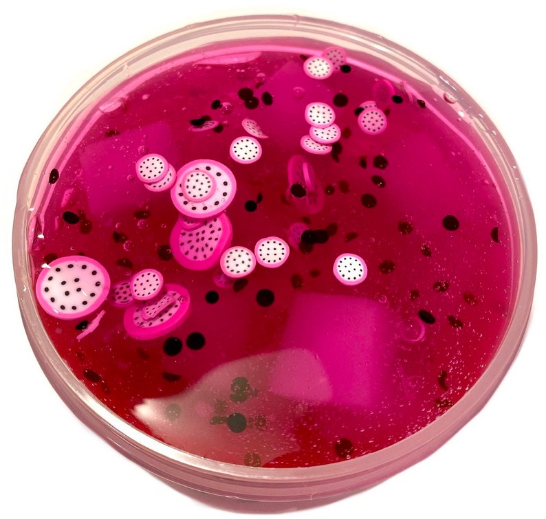 DRAGON Fruit JELLY CUBE Slime image 4