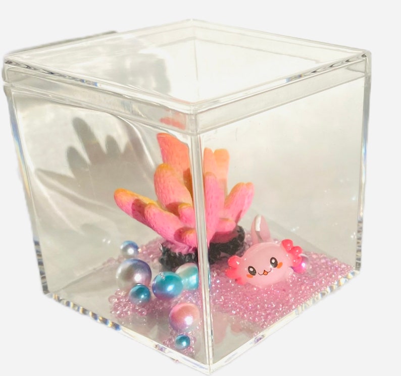 AXOLOTL Fish Tank DIY Slime Tank Etsy