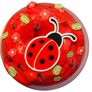 Lady bug Butter crunchy candy scented Slime