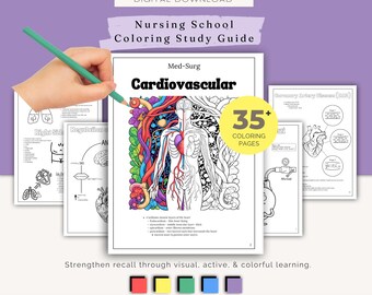 Cardiovascular Coloring Study Guide | Nursing Student Printable Notes