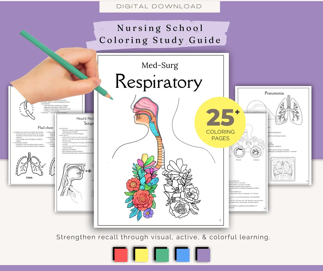 Respiratory Coloring Study Guide | Nursing Student Printable Notes - Etsy