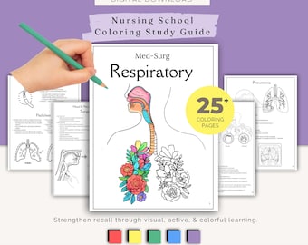 Respiratory Coloring Study Guide | Nursing Student Printable Notes