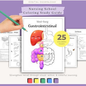 May include: A digital download of a nursing school coloring study guide. The cover features a colorful illustration of the gastrointestinal system. The guide includes 25 coloring pages and the text "Strengthen recall through visual, active, & colorful learning."