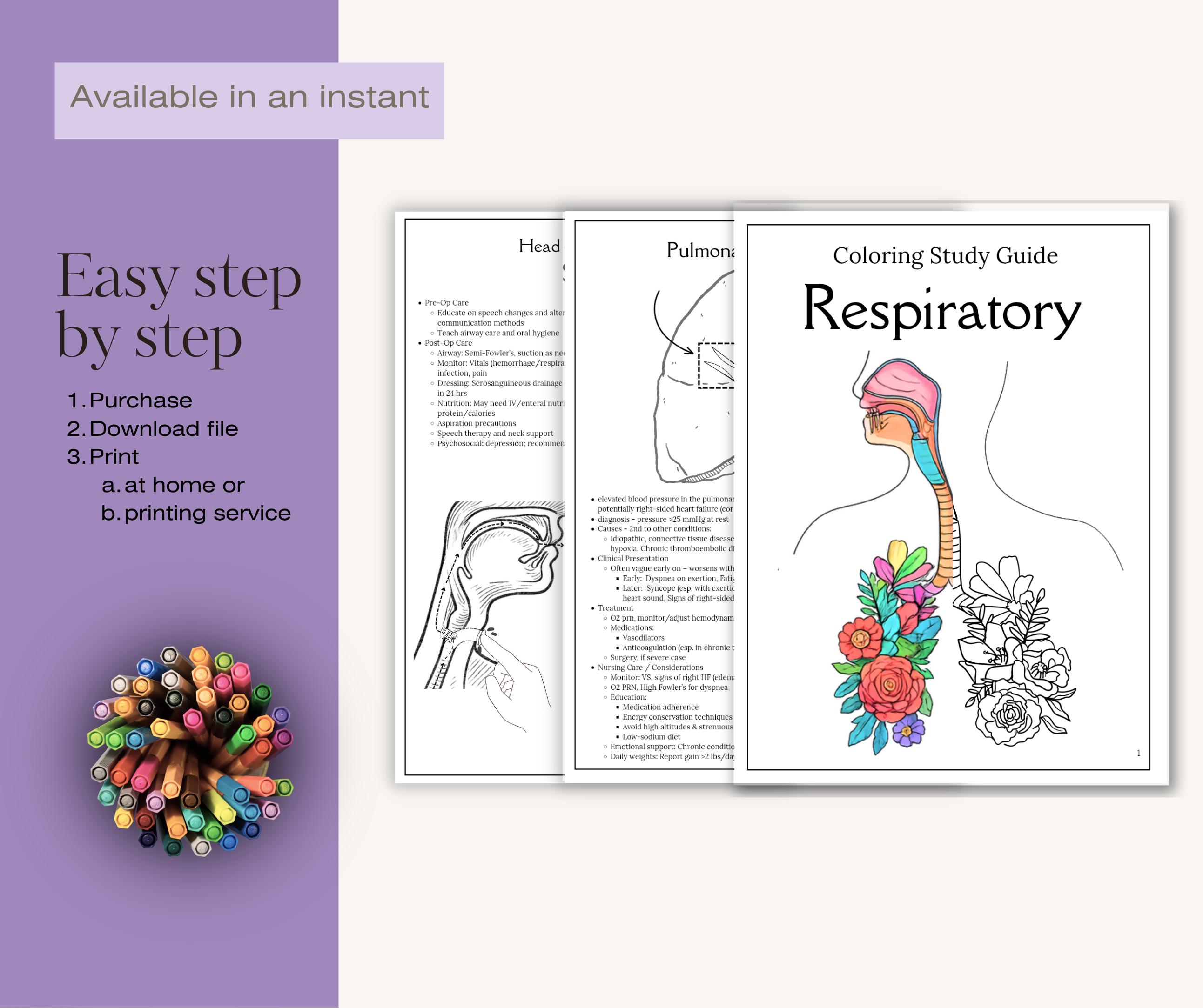 Respiratory Coloring Study Guide | Nursing Student Printable Notes - Etsy