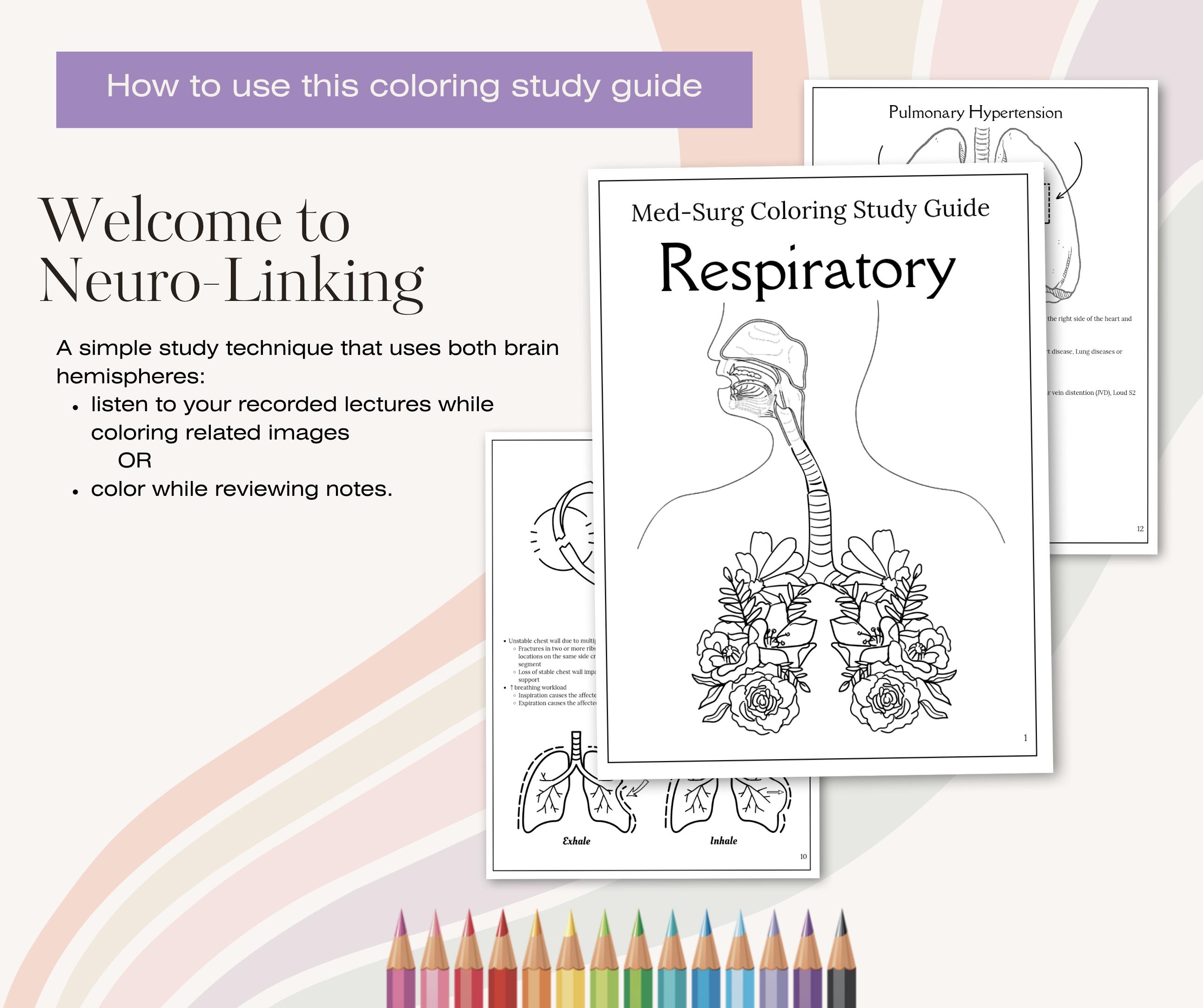 Respiratory Coloring Study Guide | Nursing Student Printable Notes - Etsy