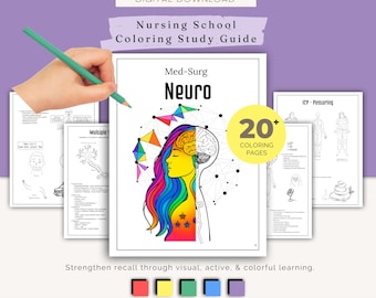 Neuro Coloring Study Guide | Nursing Student Printable Notes