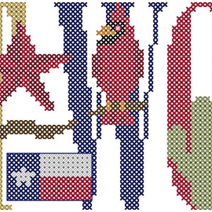 Patrón de punto de cruz PDF de Fort Worth, Texas: ciudad, estado y nombre del país con imágenes coordinadas en cada letra de los patrones de punto de cruz