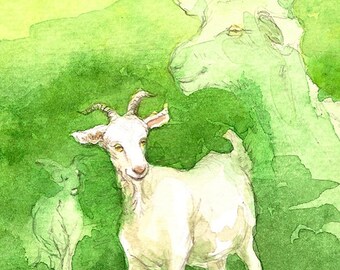 May include: Watercolor painting of three white goats in a green field. The goats are standing in a field of green grass and leaves. The painting is signed "Jennifer Polan" in the bottom right corner.