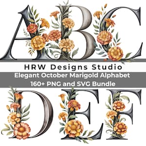 May include: Elegant October Marigold Alphabet letters A, B, C, D, E, and F, adorned with orange and yellow marigold flowers and green foliage. The image includes the text "HRW Designs Studio" and "Elegant October Marigold Alphabet 160+ PNG and SVG Bundle."