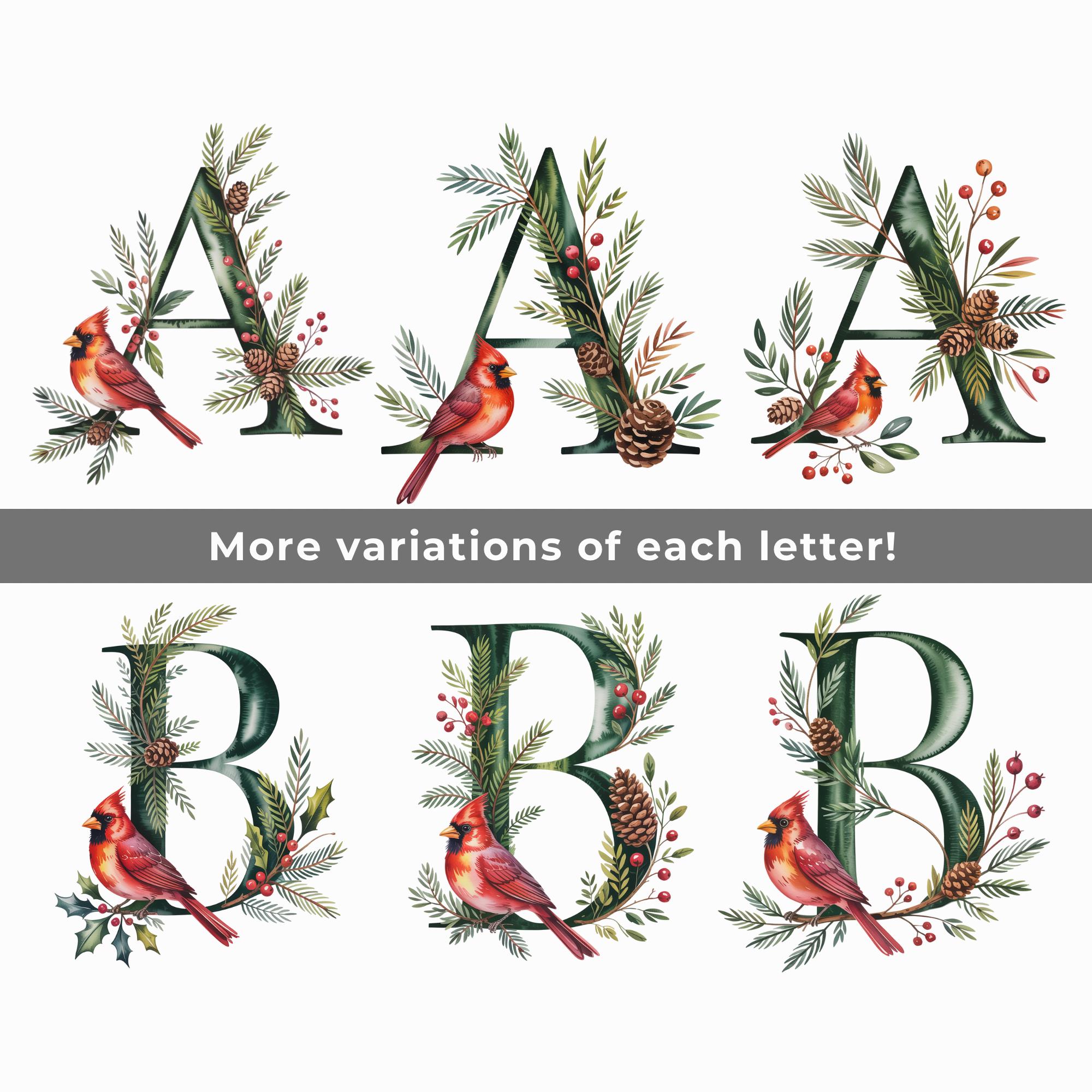 Cardinal Letter R Red Cardinal Winter Alphabet PNG SVG Bundle | 100+ Christmas Letters - Etsy