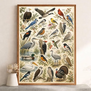 Puede incluir: Una impresión enmarcada de estilo vintage que presenta una ilustración detallada de varias aves. La obra de arte muestra una colección diversa de aves, cada una etiquetada con su nombre común, sobre un fondo neutro con elementos botánicos. El marco es marrón cálido.