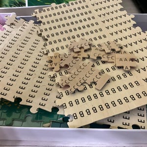Pu&ograve; includere: Un puzzle di lettere in legno parzialmente assemblato con pezzi ad incastro. I pezzi del puzzle sono marrone chiaro con lettere nere stampate. Alcuni pezzi sono sparsi, altri sono ancora nella scatola. Le lettere includono A, B, C ed E.