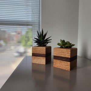 Puede incluir: Dos pequeñas macetas de madera con suculentas. Las macetas cuadradas son de madera clara con una banda marrón oscuro. Una maceta tiene una suculenta espinosa de color verde oscuro, y la otra tiene una suculenta más redonda de color verde claro.
