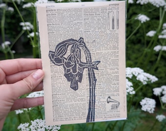 Columbine Linocut Flower Print | Vintage Book Page Art, 5x7