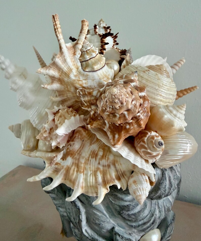 Seashell Head Seashell Crown Bust Sculpture – Ocean Goddess Head Planter ...