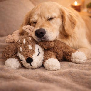 Pode incluir: Um cão golden retriever a dormir abraça um brinquedo de pelúcia de veado de crochê castanho e branco. O cão está deitado numa manta macia castanha. Uma lâmpada e uma vela são visíveis no fundo, criando uma atmosfera quente e acolhedora.