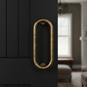 Könnte beinhalten: Ein goldfarbener, ovaler Türgriff ist an einer schwarzen Tür angebracht. Die Tür hat vertikale Paneele. Der Hintergrund zeigt einen Blick auf ein Wohnzimmer mit Kamin und Fenster.