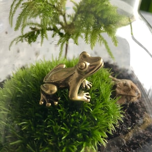 May include: A glass terrarium featuring a brass frog ornament on a bed of green moss. The container also includes a small plant and dark soil. The frog figurine has detailed eyes and legs.