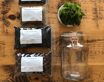 DIY Terrarium Kit: Vintage Style Glass Jar, Moss & Supplies